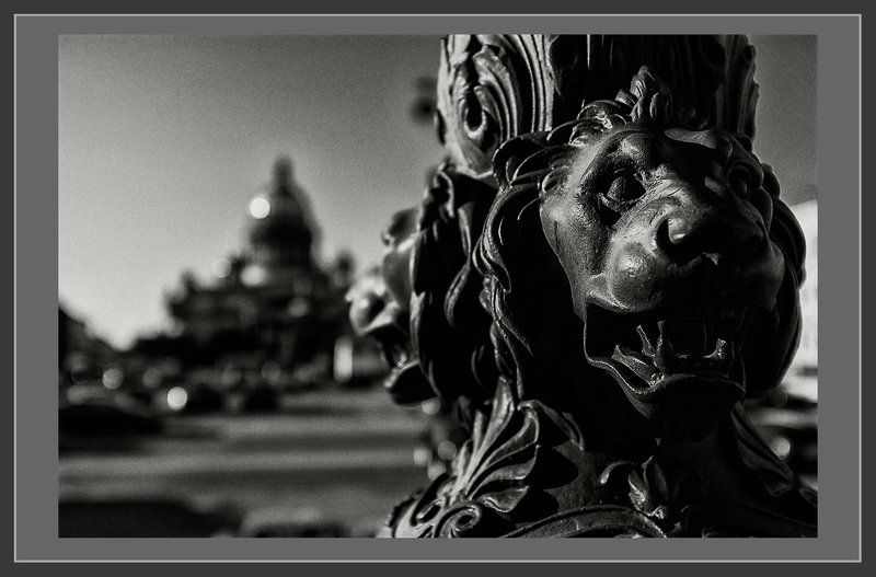 питер, санкт-петербург, исаакиевская площадь Питер фото превью