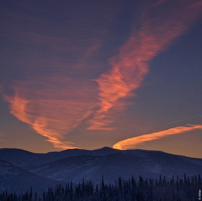 PRO сибирские метеоры фото превью