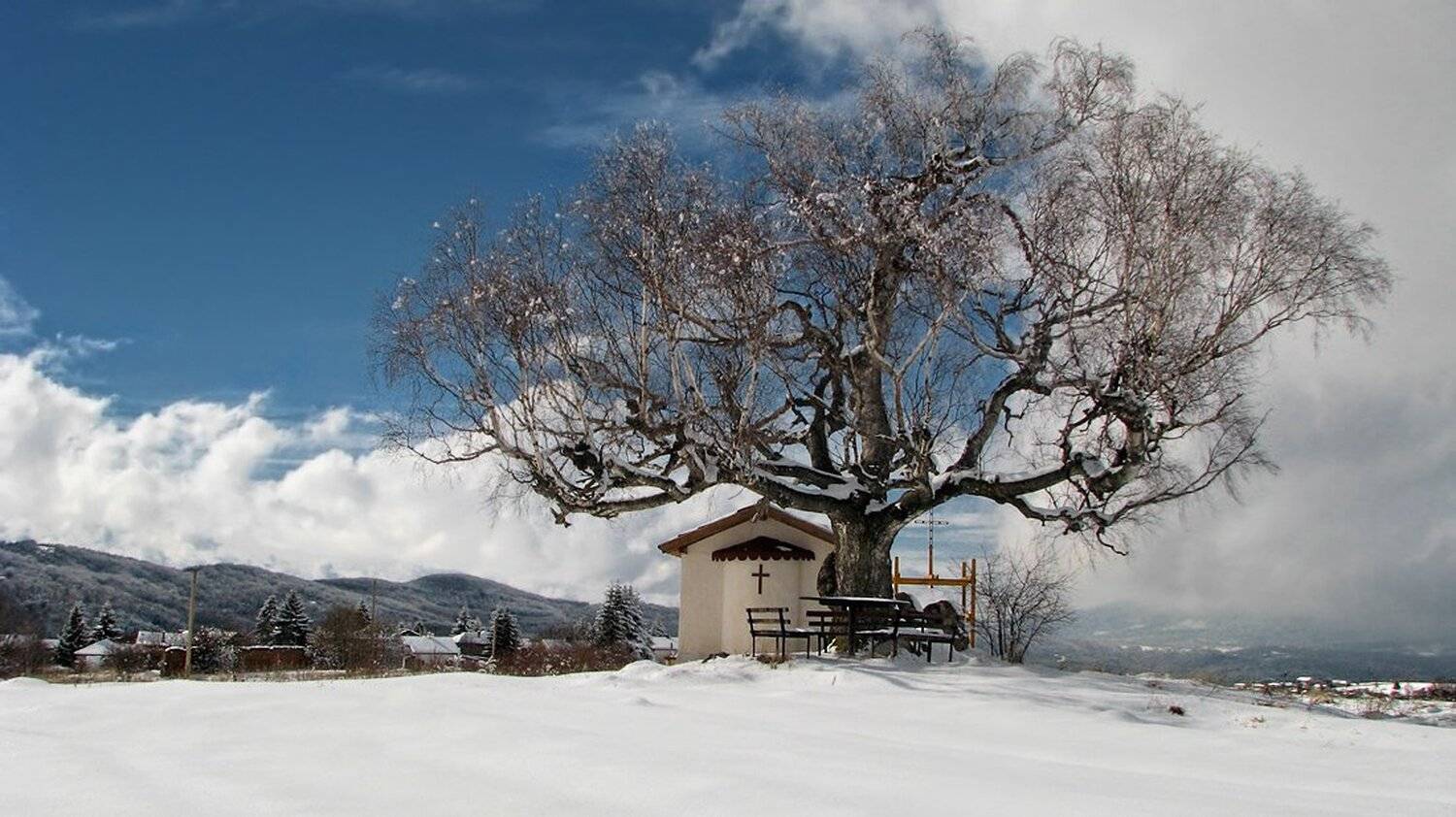 , Ирина Костова