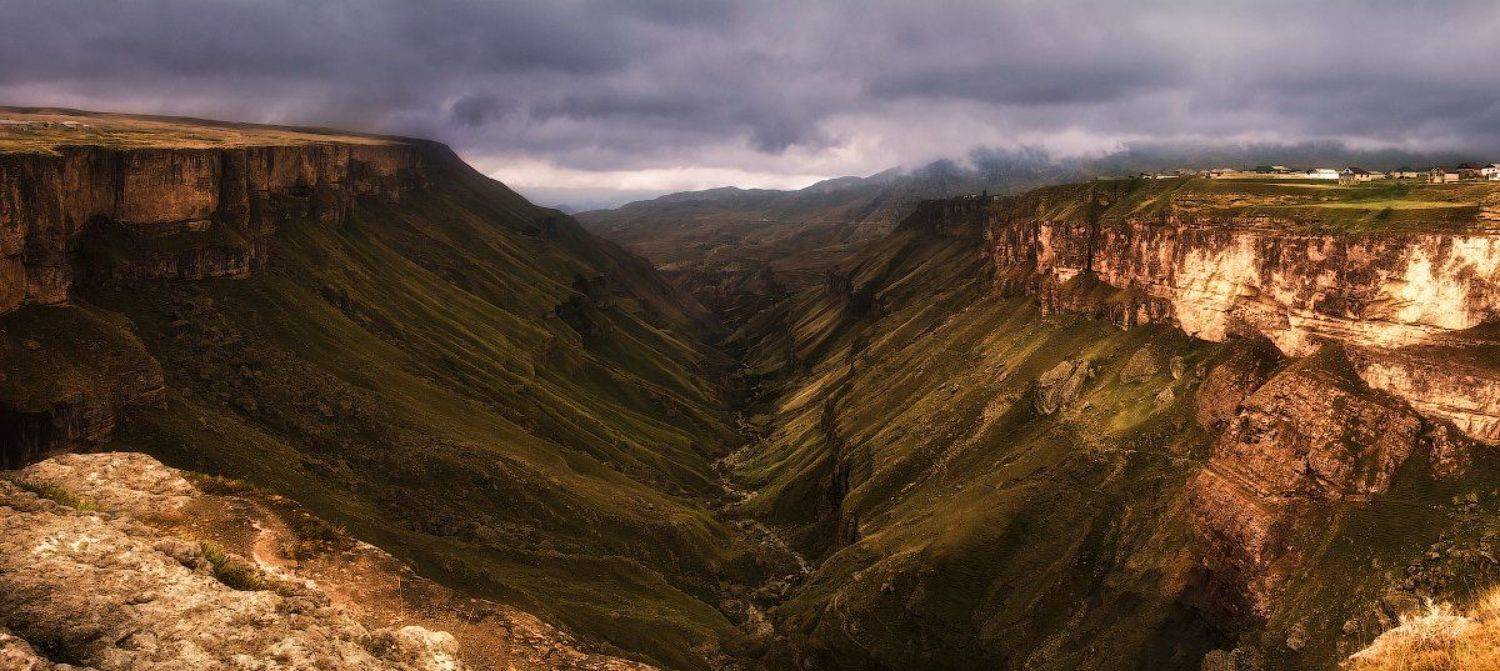 , Гамидов Мурад