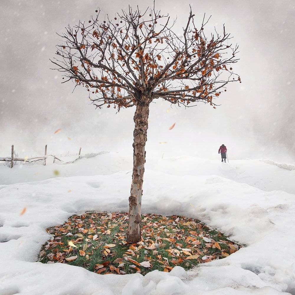 winter, wire, old, tree, woman, snow, manipulation, psd, tutorial, leaf, autumn, Caras Ionut