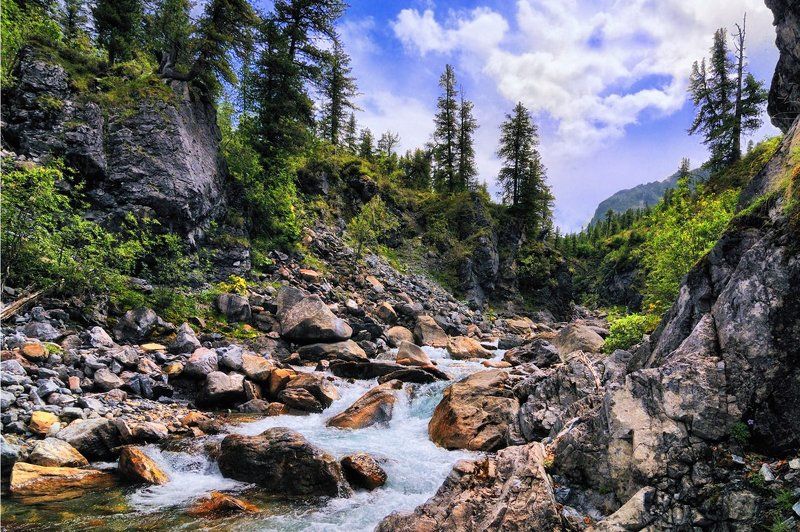 В ущелье Перевальной фото превью