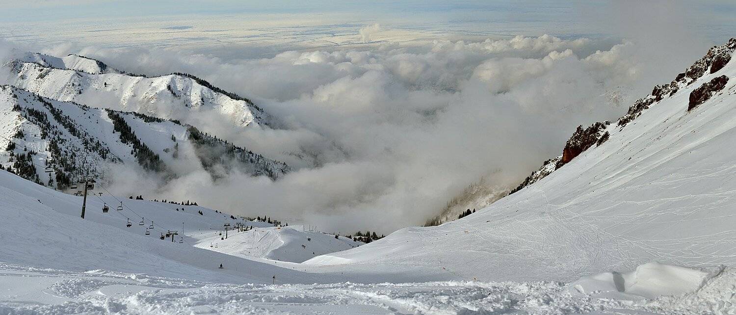 , Сергей Седов