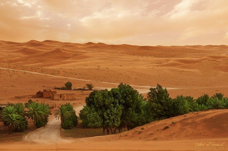 Oasis ..! фото превью