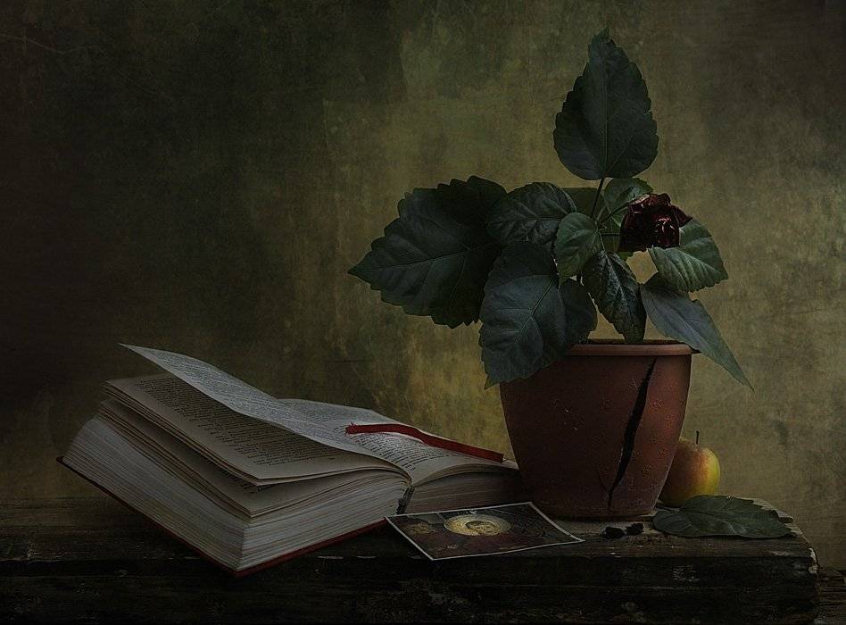 , Петрова Татьяна