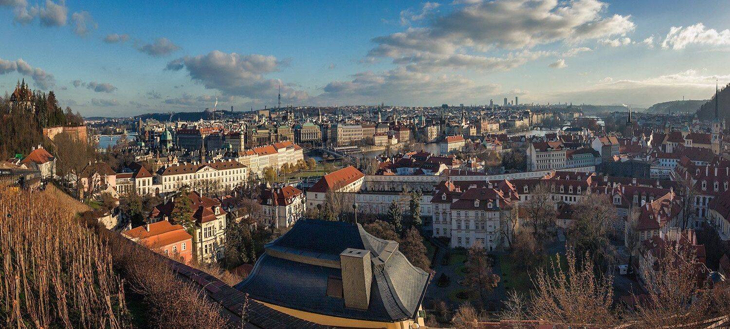 , Игорь Мелекесцев