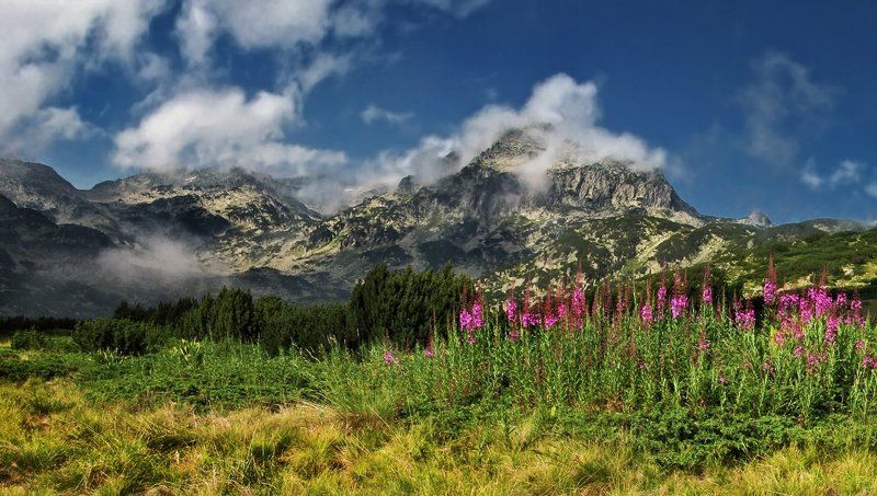 Pirin фото превью