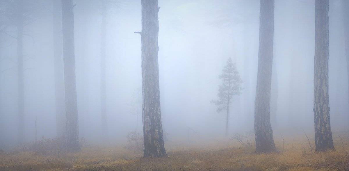 , Виталий Башкатов