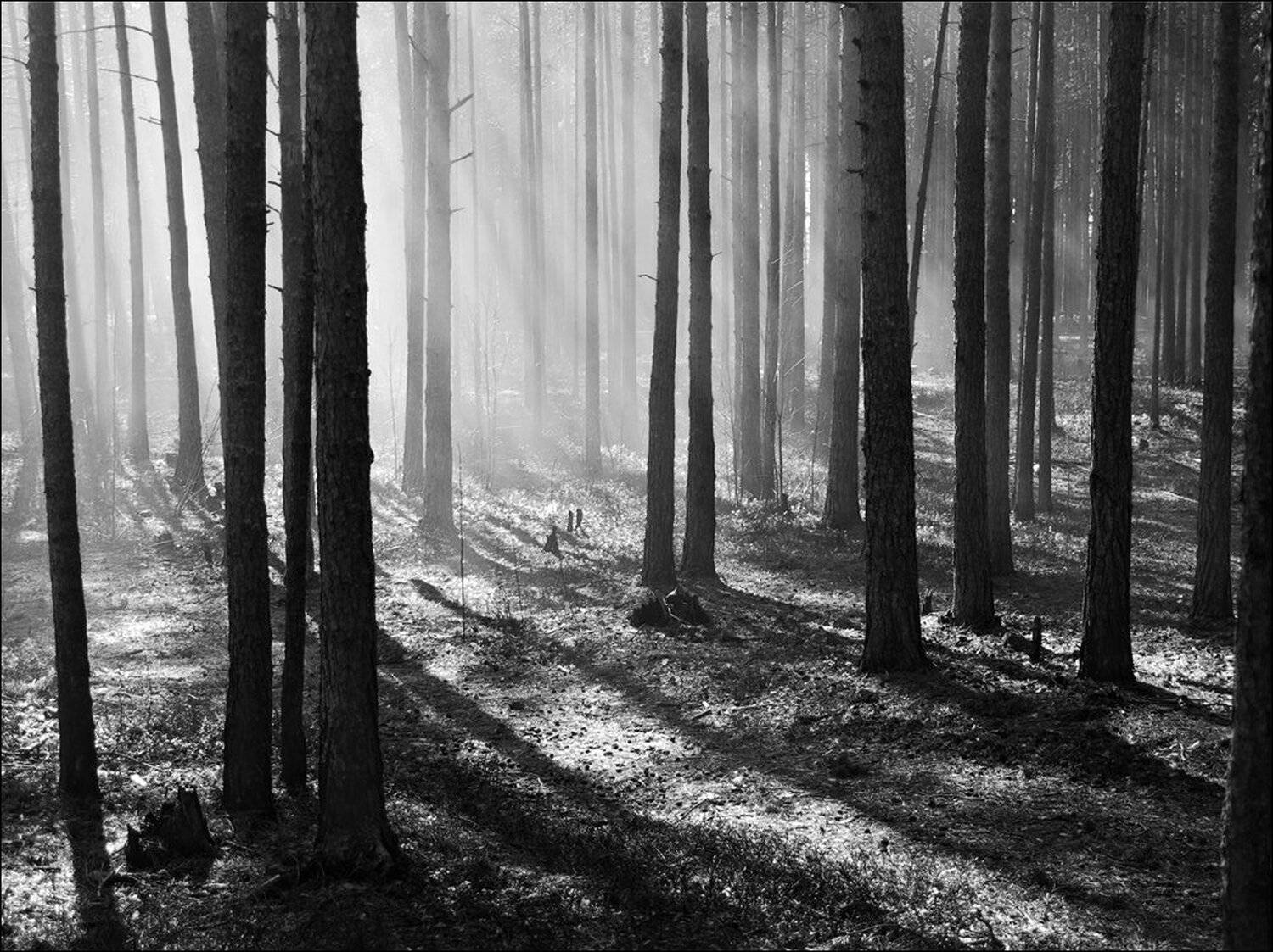 , Крицак Ольга