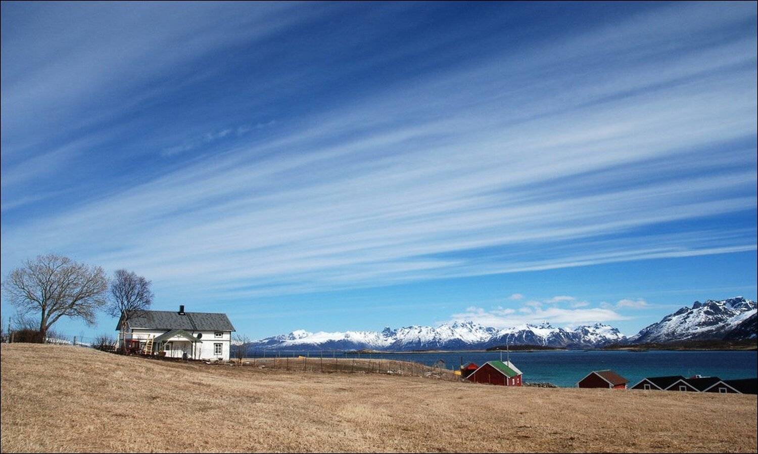 , Крицак Ольга