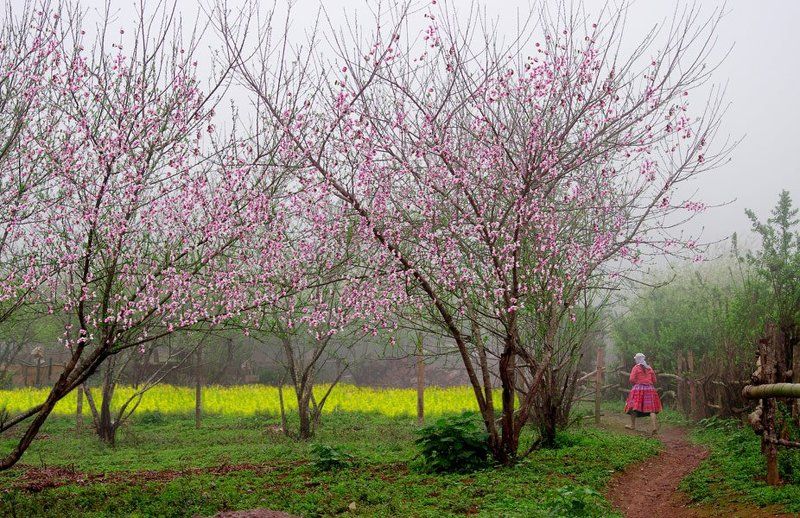 Spring фото превью