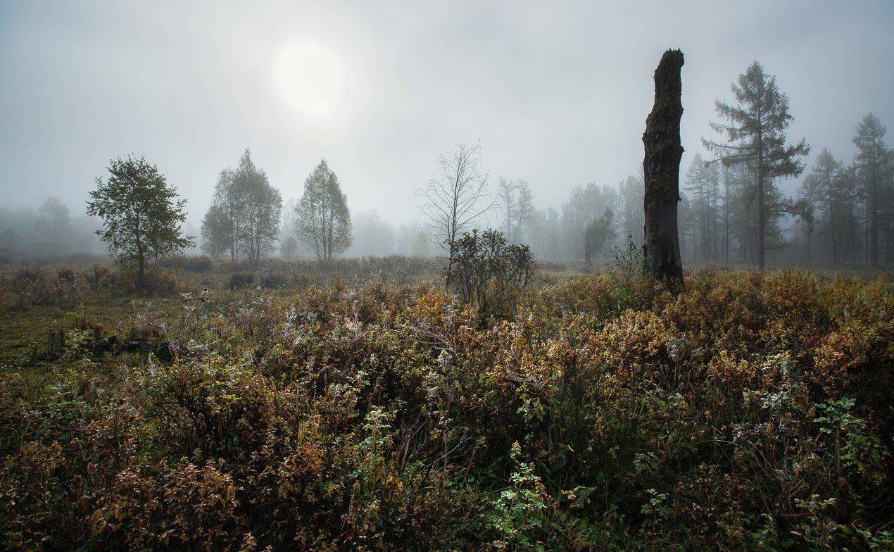 , Владимир Ляпин