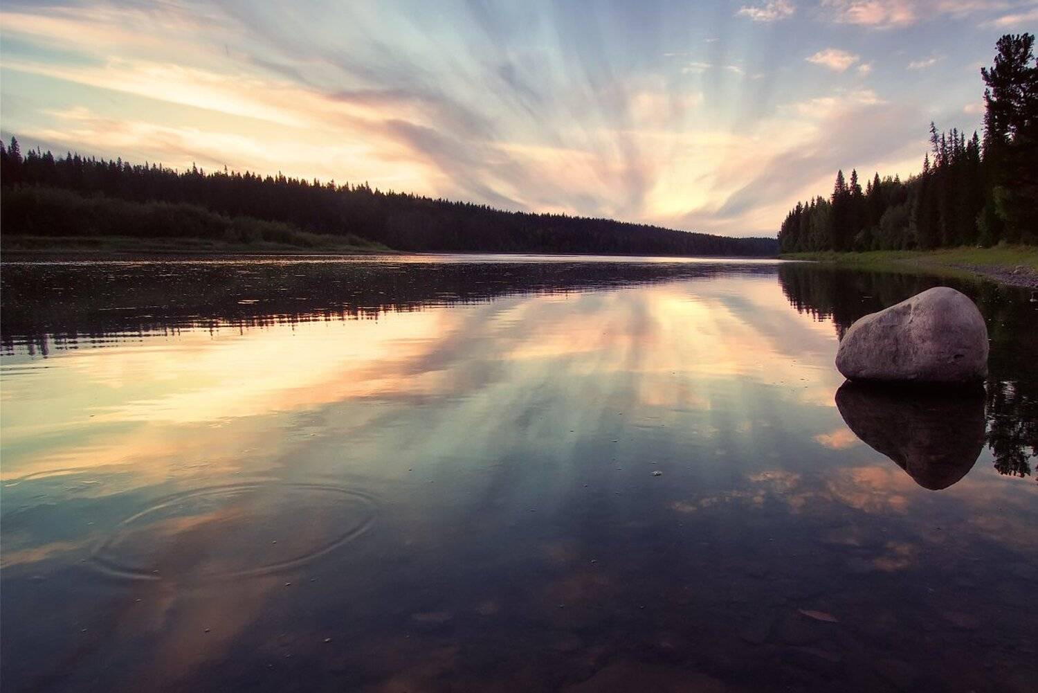 , Максим Евдокимов