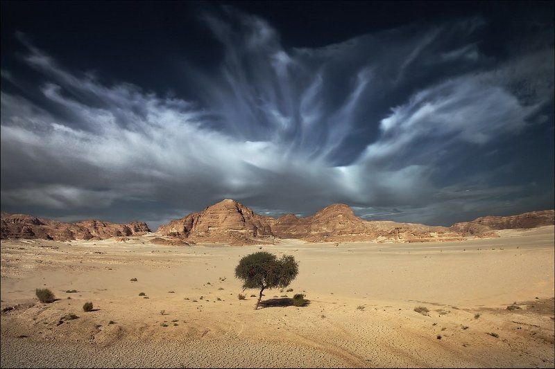 Предзнаменование фото превью