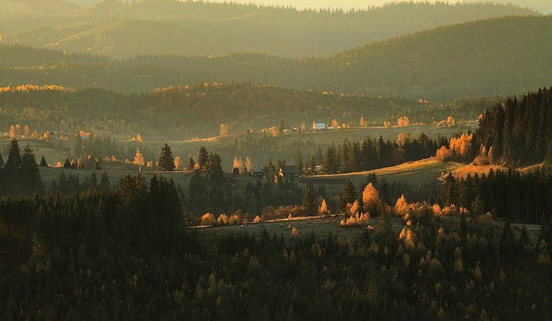 карпаты, горы, утро, осень ступени... фото превью