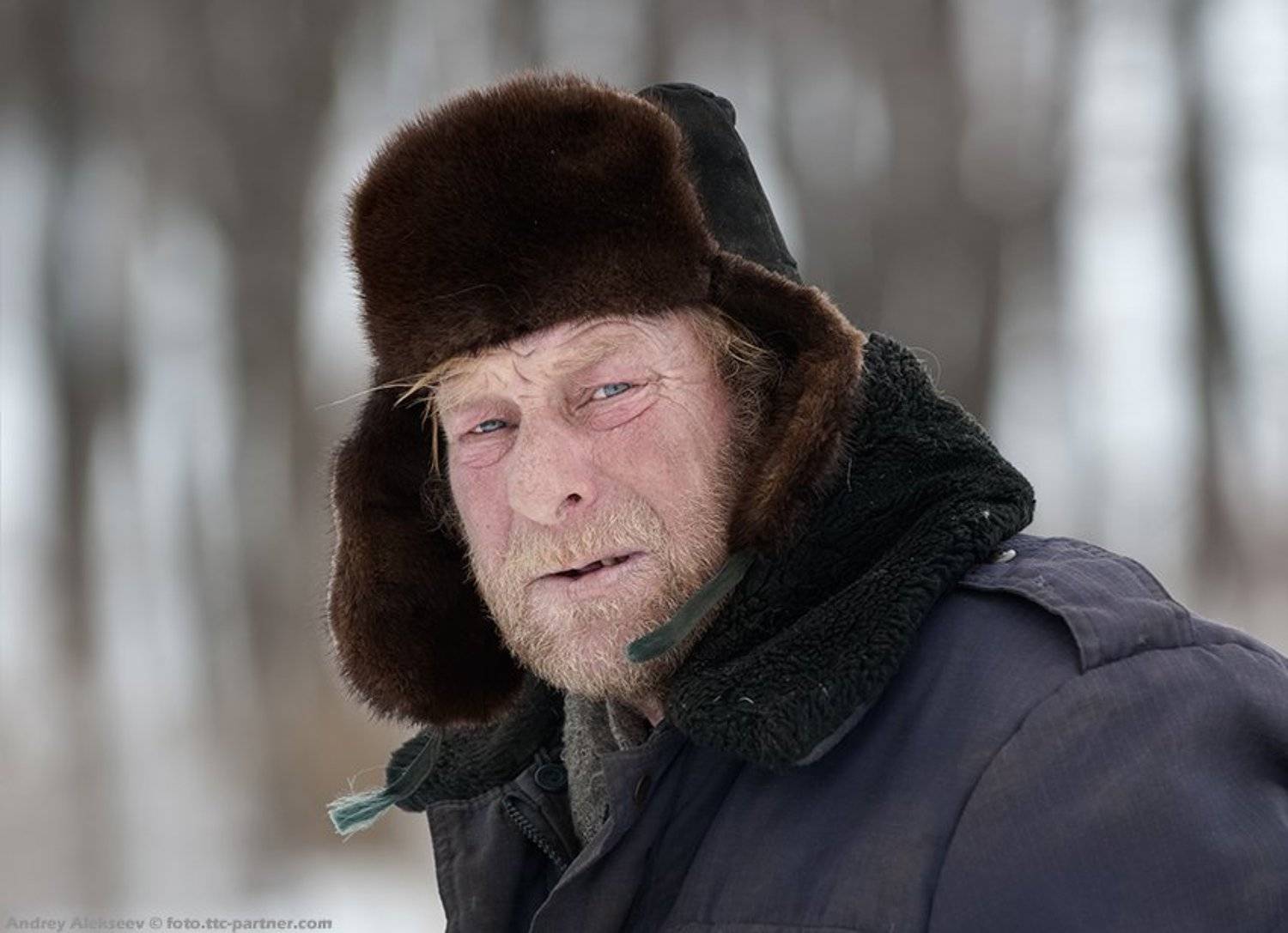 , Андрей Алексеев