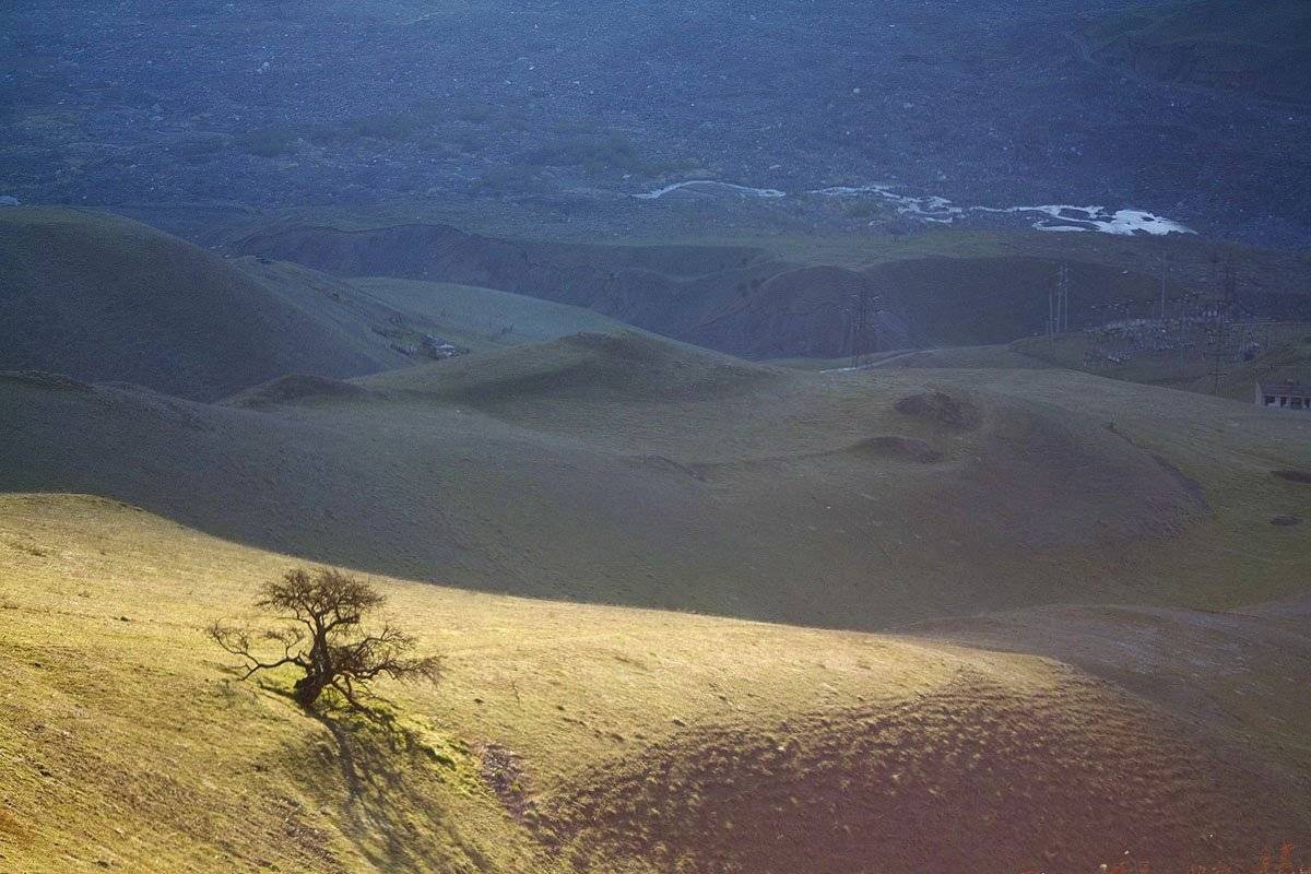 , Борис Резванцев