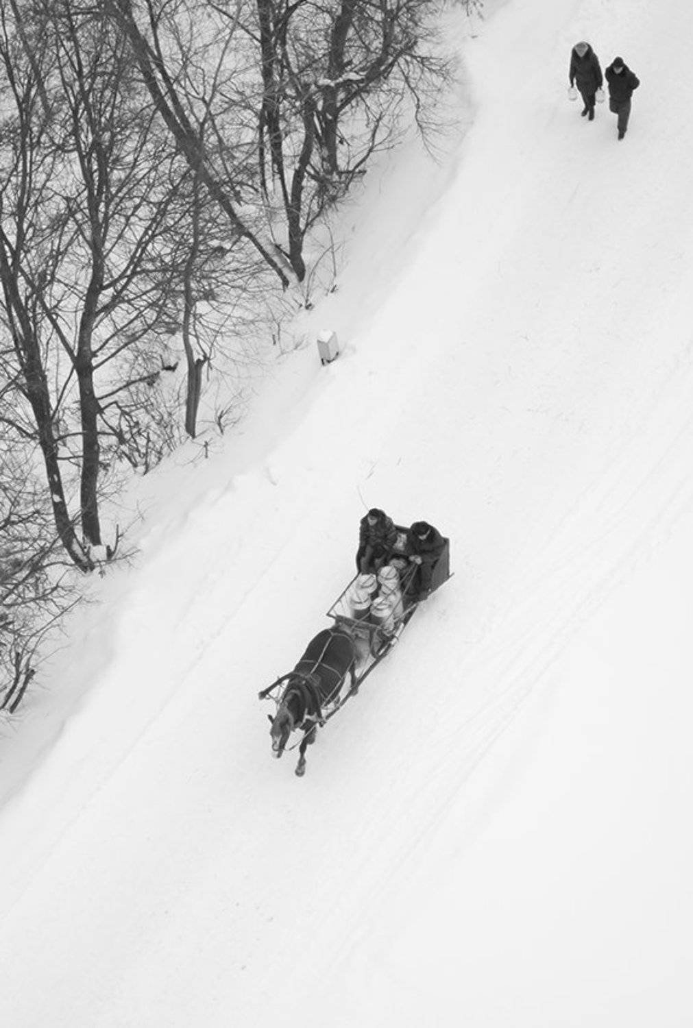 , Андрей Алексеев