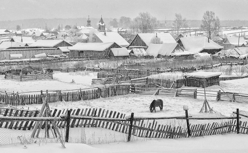 , Виктор