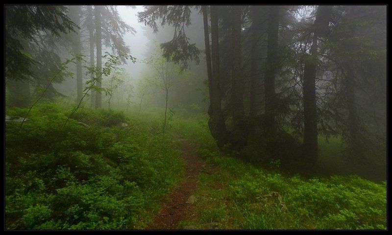 bulgaria, , vitosha  фото превью