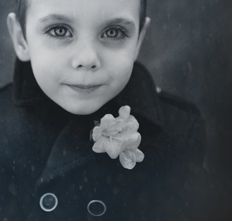 фото превью