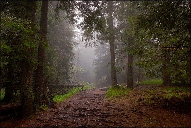 bulgaria, , vitosha  фото превью