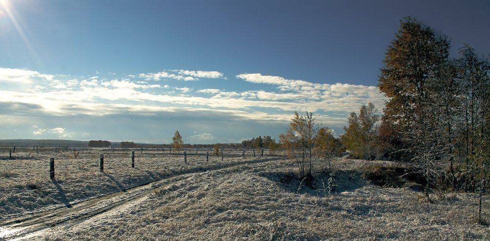 , Николай Морский