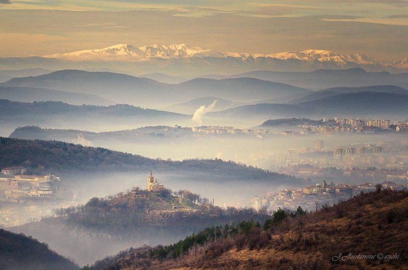 fog light фото превью