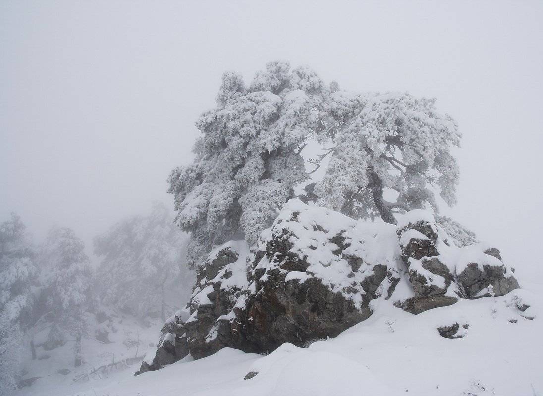 , Виталий Ра