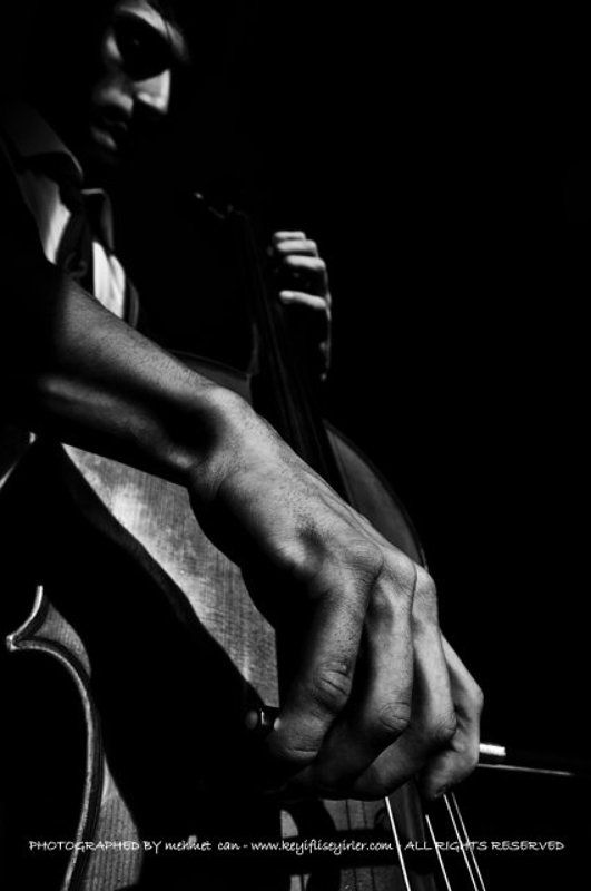 cello фото превью