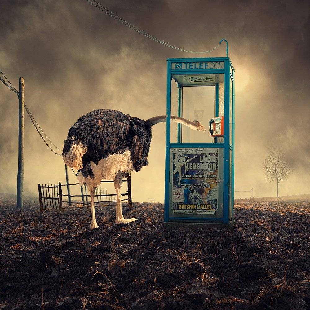 , Caras Ionut