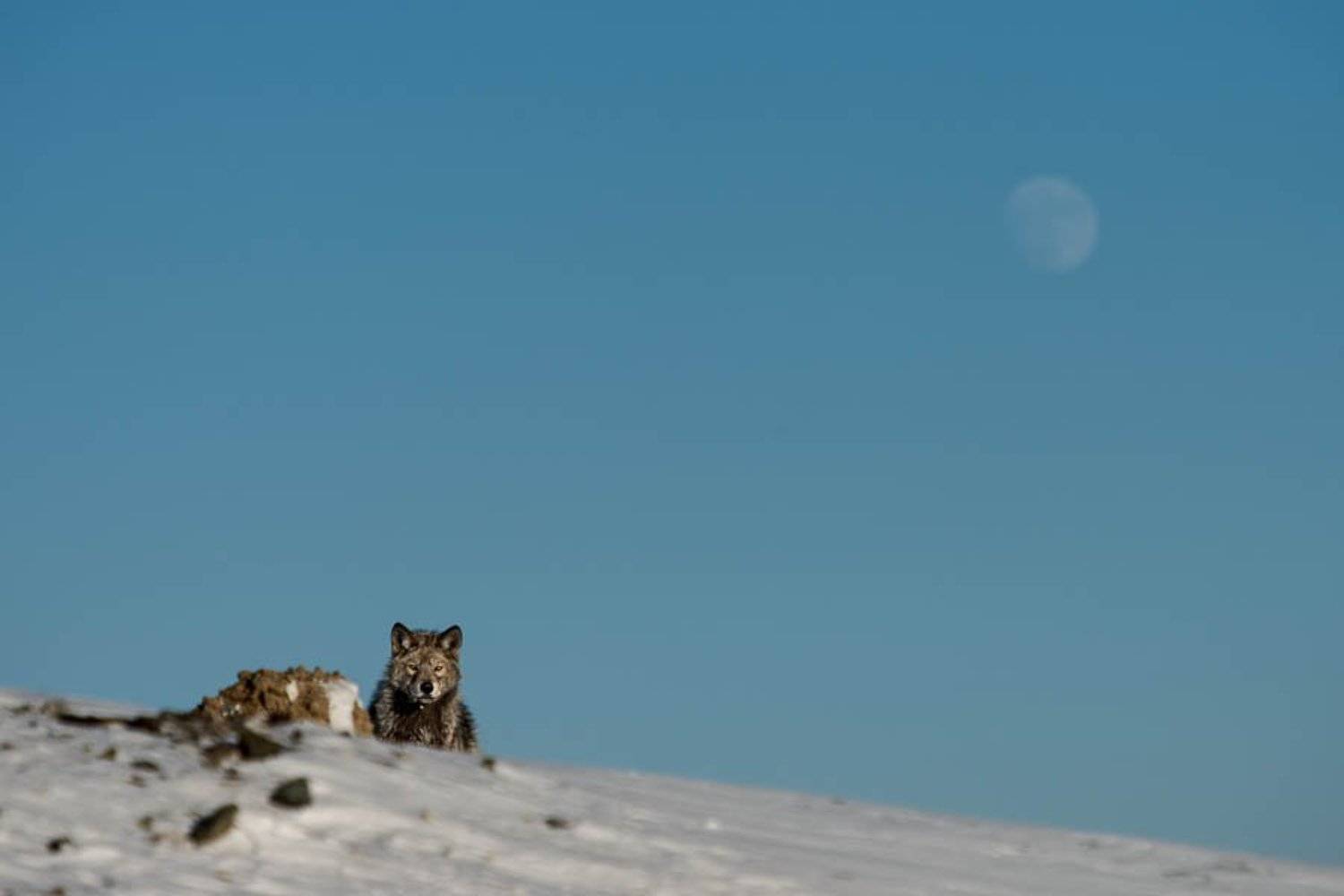 , Иван Кислов