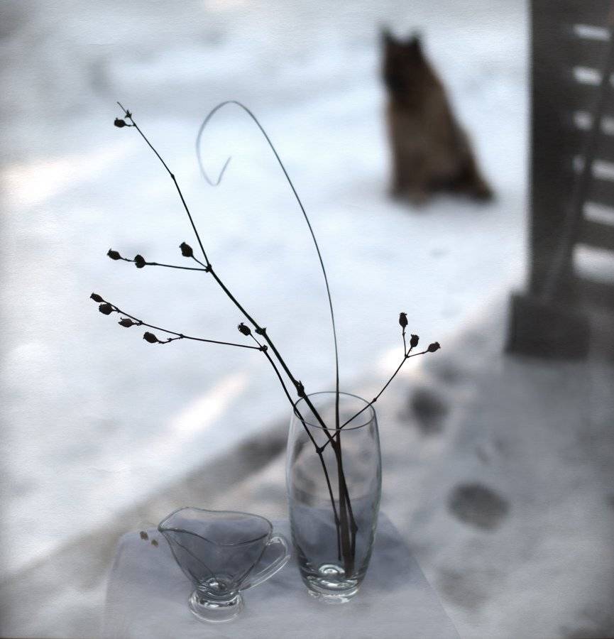 , Людмила Прокофьева