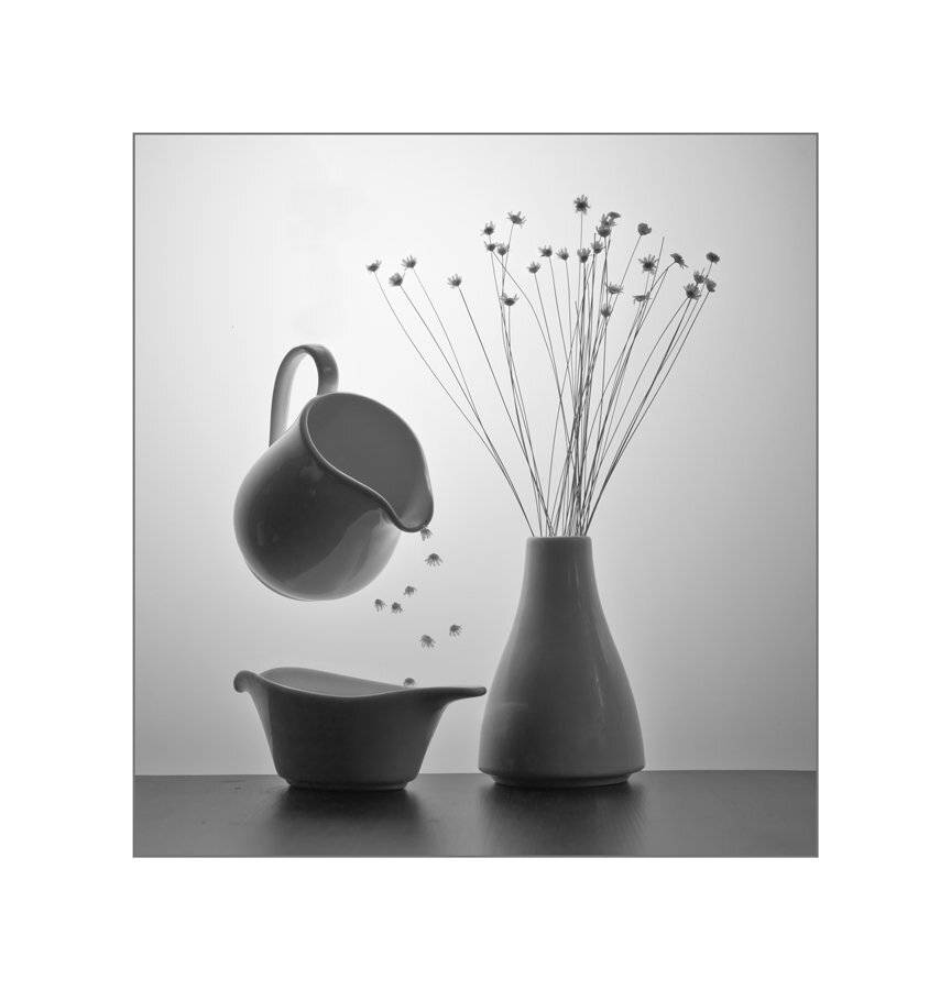 , Людмила Прокофьева