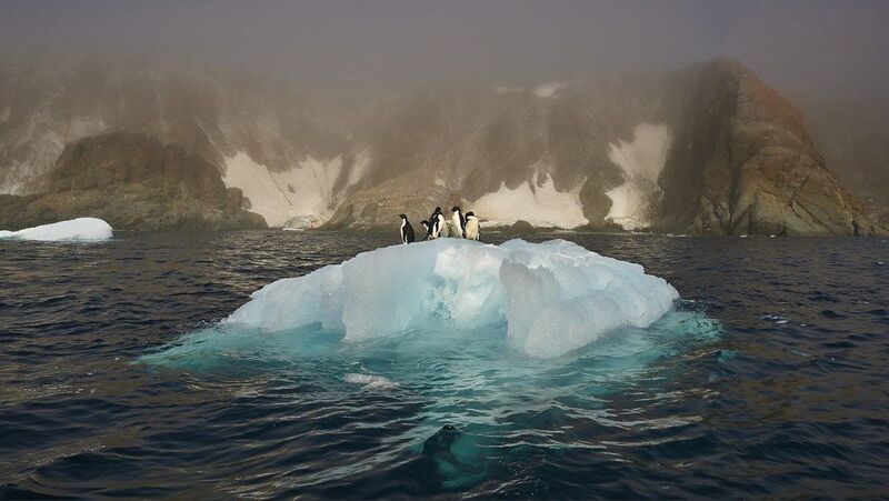 Аргонавты