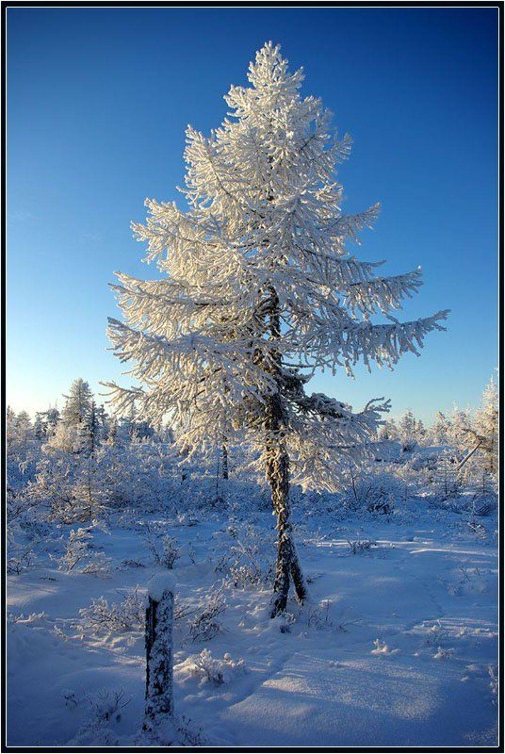 , Солодухин Виктор