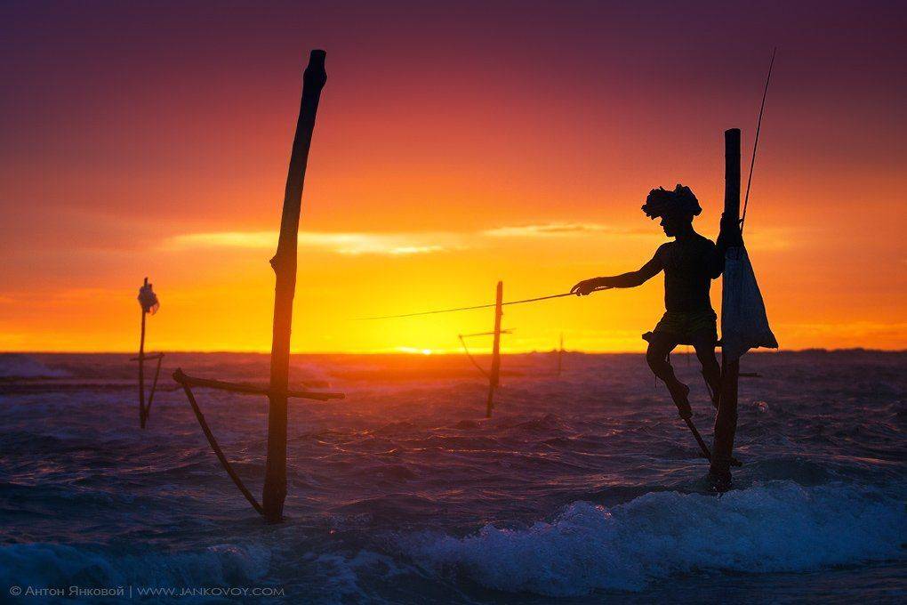 sri lanka, stilt, fisherman, fishermen, ocean, waves, sunset, dusk, ahangama, закат, рыбалка, рыбак, шри ланка, океан, волны, шест, Антон Янковой (www.photo-travel.com.ua)