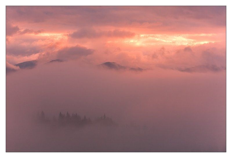 рассвет, туман, облака, карпаты, горы НА РАССВЕТЕ. фото превью