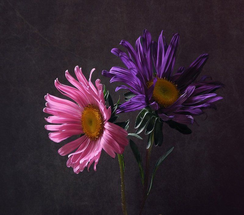 Ассорти фото превью