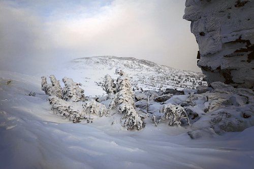Бурлаки на Волге...