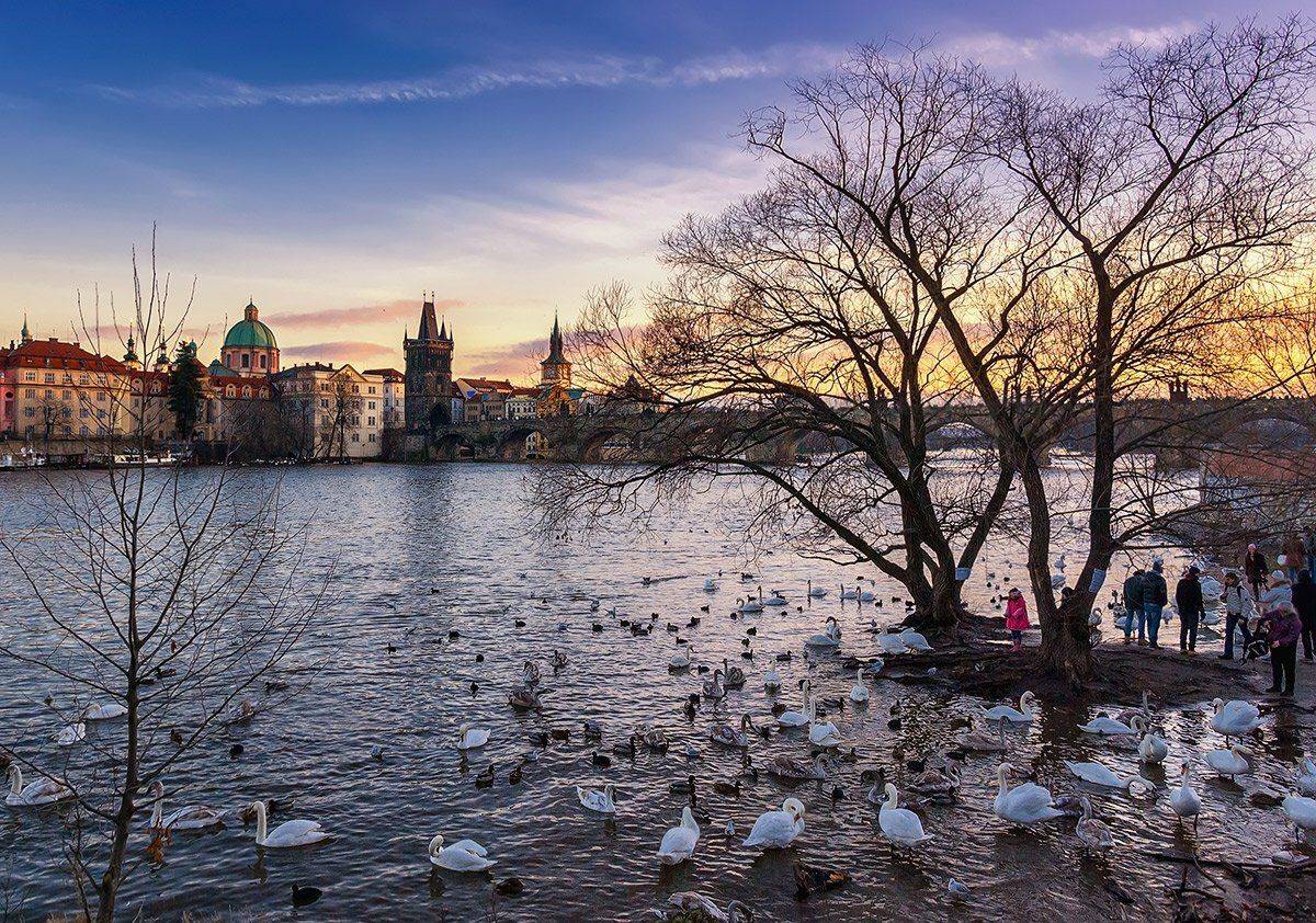 , Игорь Мелекесцев