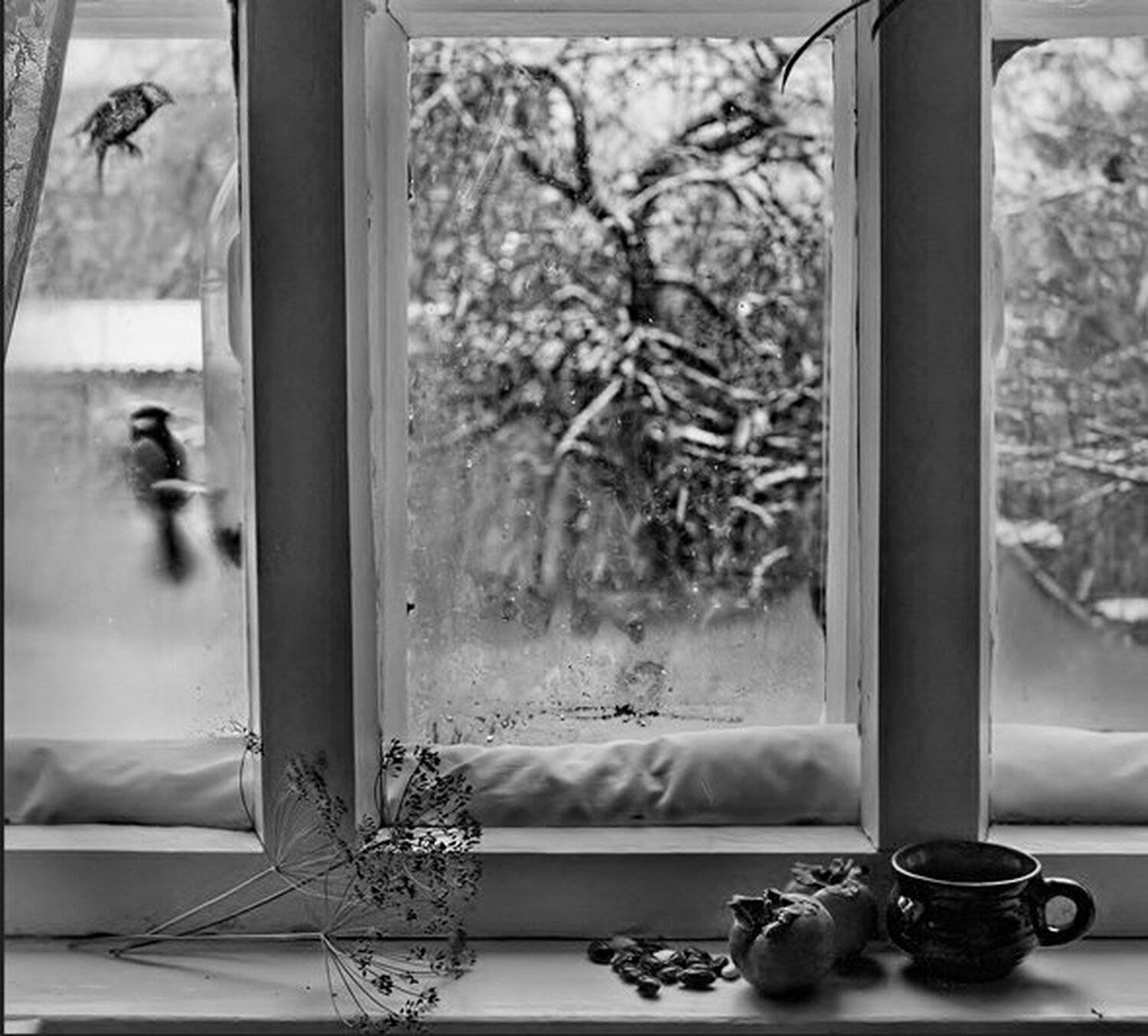 , Анна Ермолова