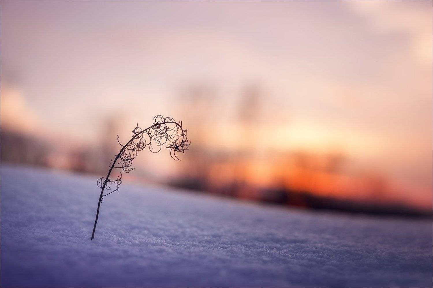 , Суханов Дмитрий