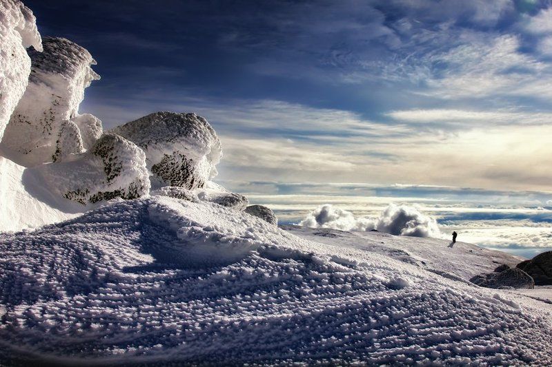 behind the sun фото превью