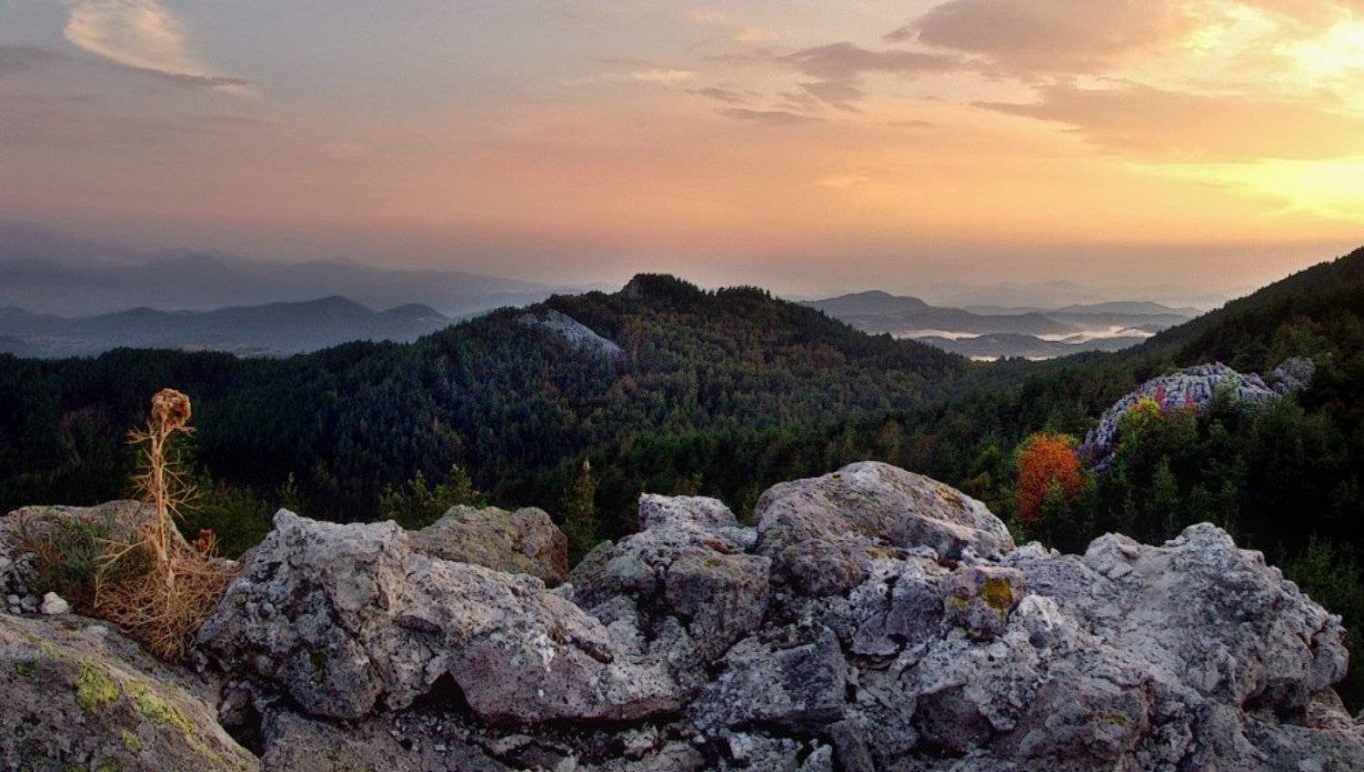 , Ирина Костова