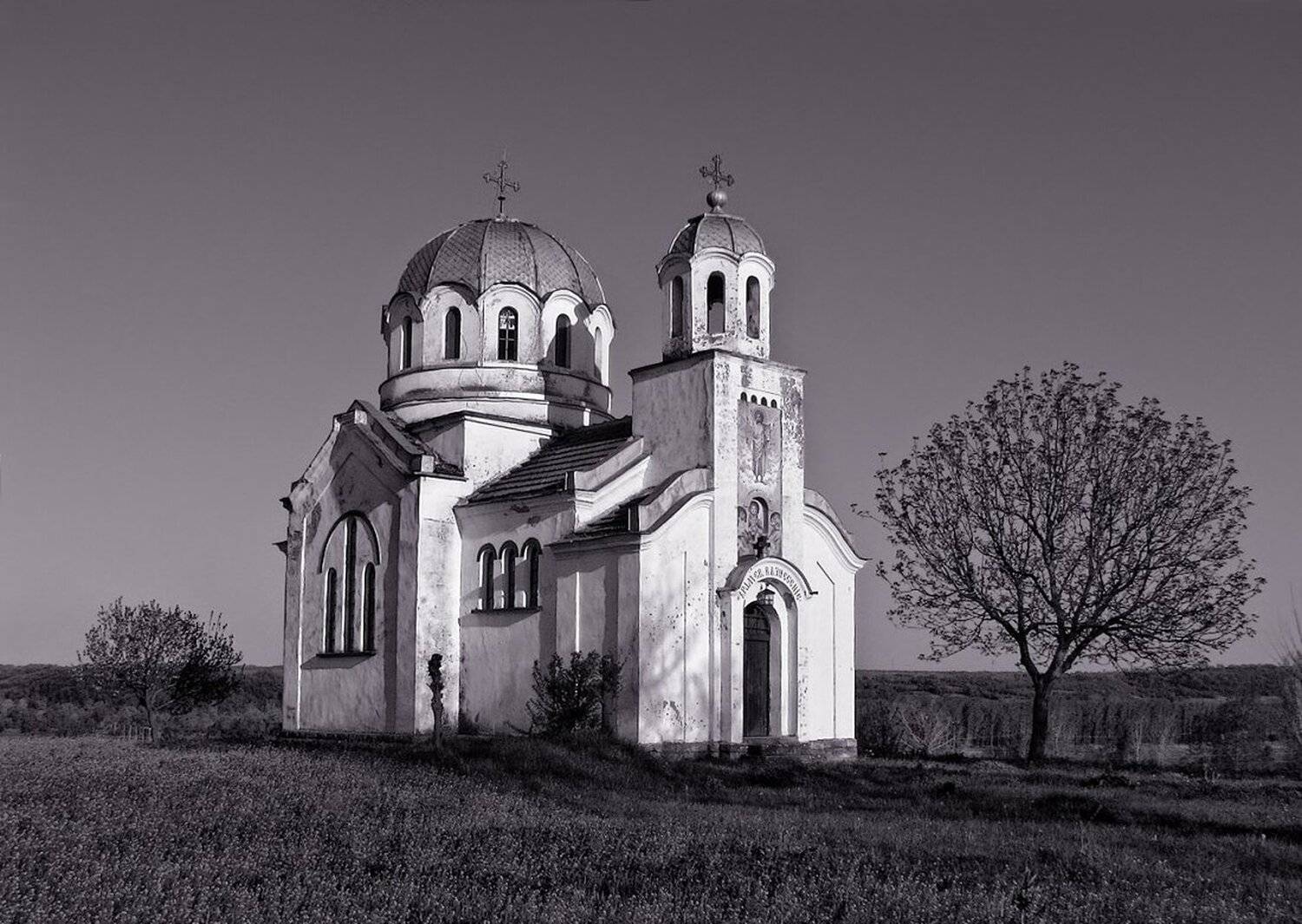 , Ирина Костова