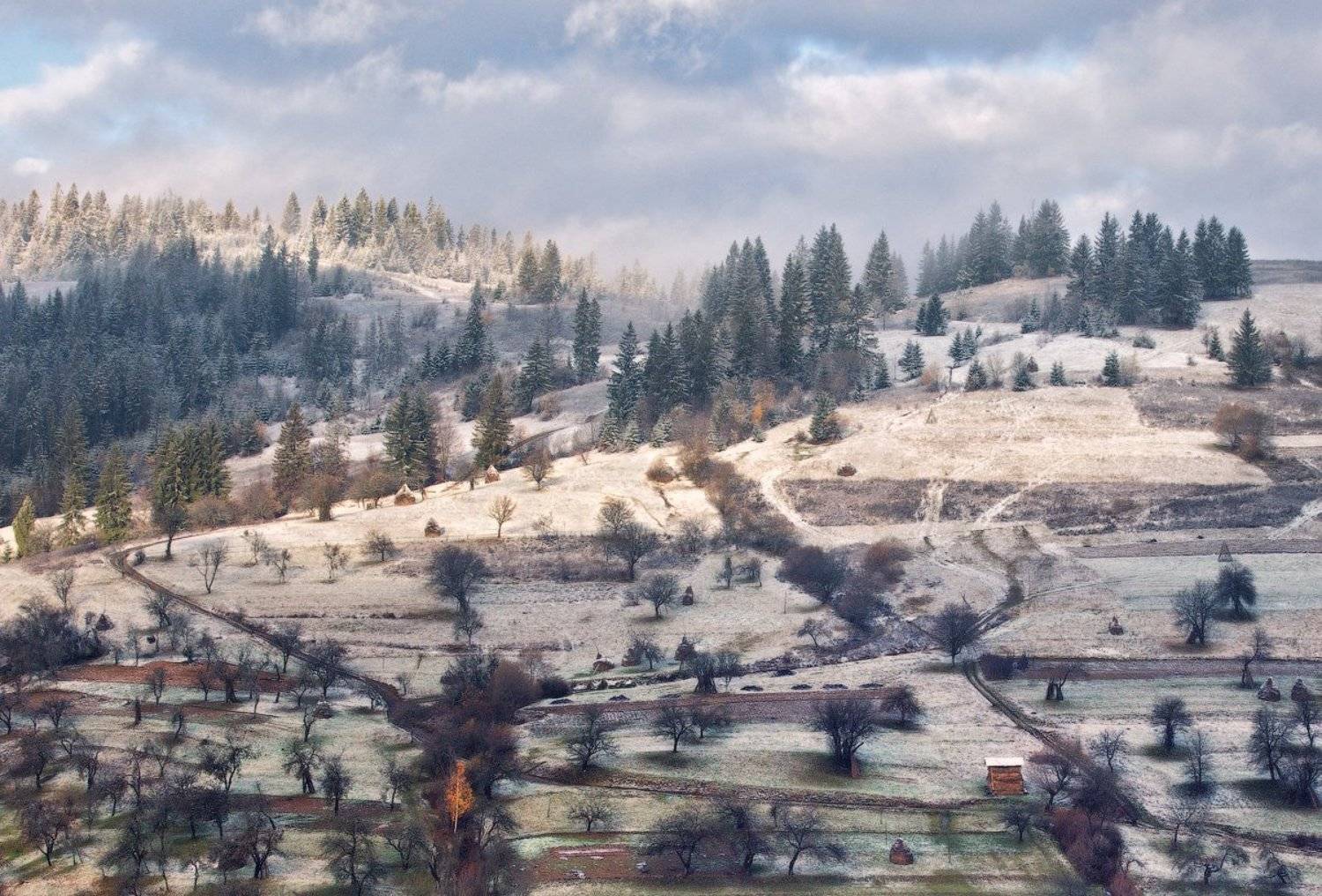 карпаты, утро, деревня, сад, Андрей Радюк