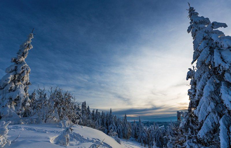 Карпаты, Тростян фото превью