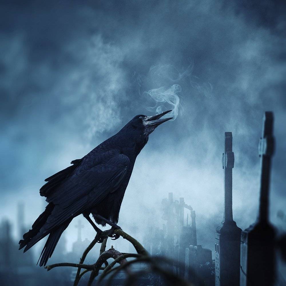 mist, fog, cold, night, dark, crow, manipulation, photoshop, psd, cementary, tutorials, old, woman, avatar, Caras Ionut