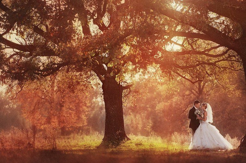 Wedding фото превью